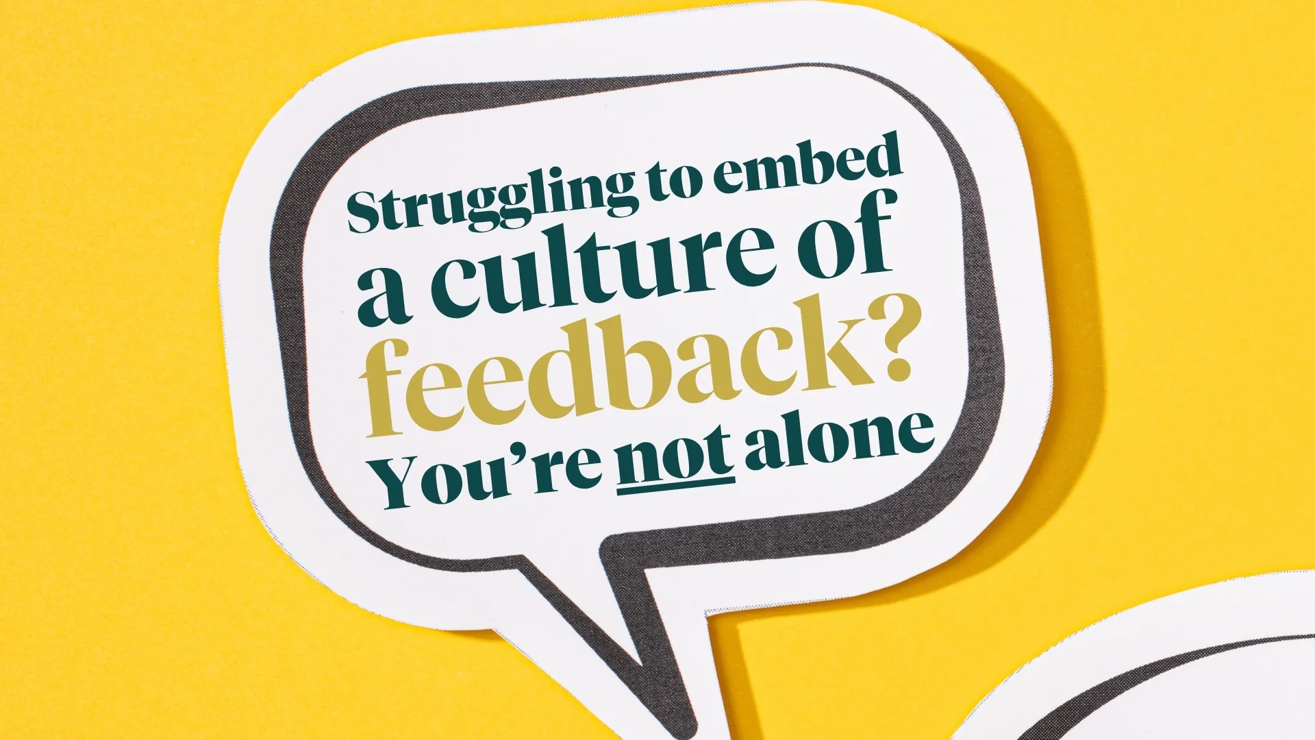 Embedding a culture of feedback article by Catherine Ferguson | Kindred Consulting